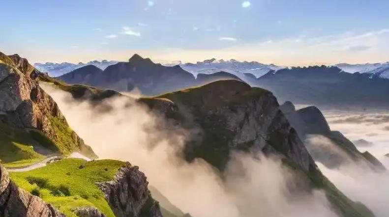 嘉祥县三通牛羊养殖公司轮播图5