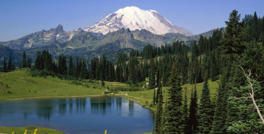 嘉祥县三通牛羊养殖公司轮播图4